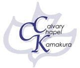 logo with dove small