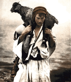Shepherd carrying sheep 